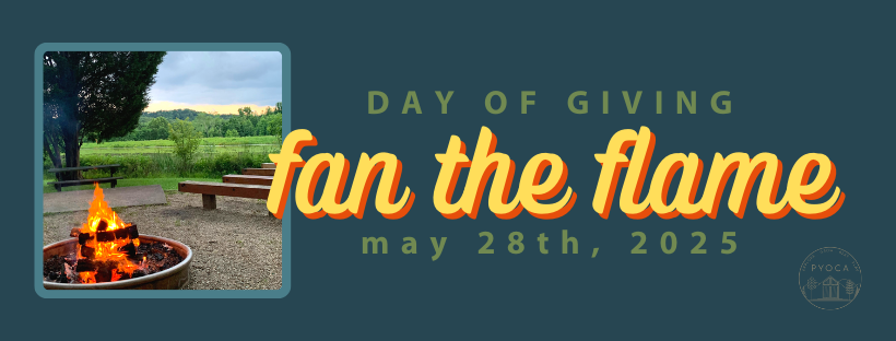 Fan the Flame Web Banner Fire Graphic